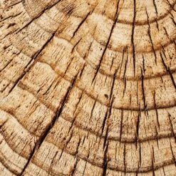 Indoor/Outdoor Faux Concrete Stump Accent Table Brown - Threshold™ Designed With Studio McGee -Threshold GUEST 03deabfd 2b62 4725 94b4 09a321ea8678