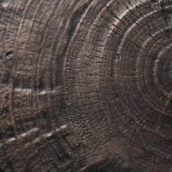 Grantsville Drum Accent Table Black - Threshold™ Designed With Studio McGee 8 Grantsville Drum Accent Table Black - Threshold™ Designed With Studio McGee -Threshold GUEST 2a48e59f 9a1e 4d95 a641 6710dbd36ebe