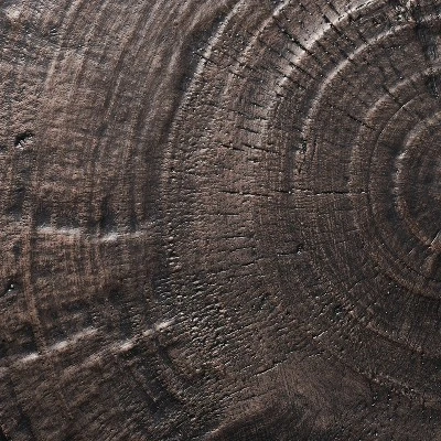 Grantsville Drum Accent Table Black - Threshold™ Designed With Studio McGee 4 Grantsville Drum Accent Table Black - Threshold™ Designed With Studio McGee - Image 4